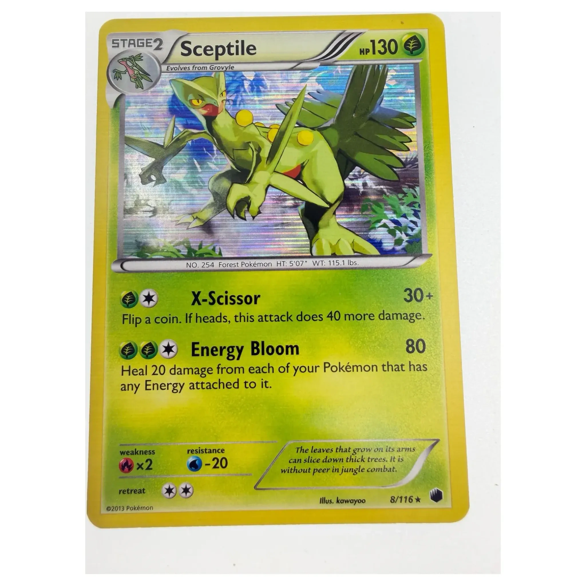 Pokemon Sceptile Holo — Plasma Blast 8/116 (Pokemon Kaarten) — Losse kaart, Near Mint staat — origineel tweedehands kopen bij Gameshop Enter